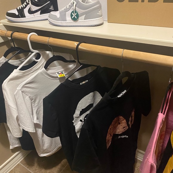 Meet your Posher, Gino - Picture 3 of 5